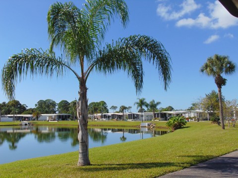 Lake Views